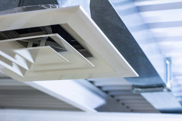 Best Air Duct Cleaning Near Me  in Plainview, MN