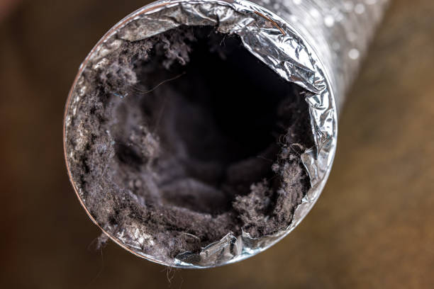 Best Professional Duct Cleaning Services  in Plainview, MN