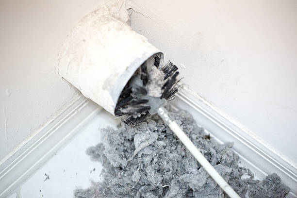 Best Ventilation Cleaning Services  in Plainview, MN