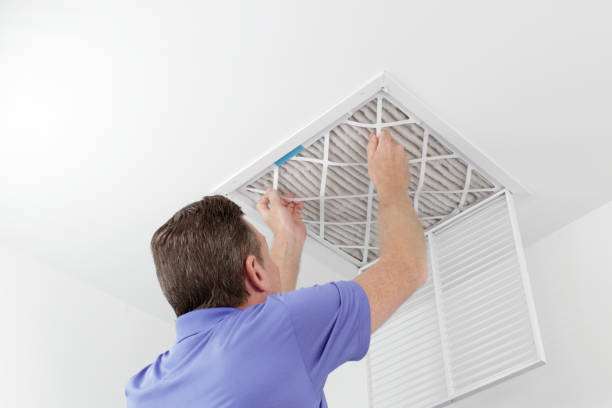 Best Residential Air Duct Cleaning  in Plainview, MN